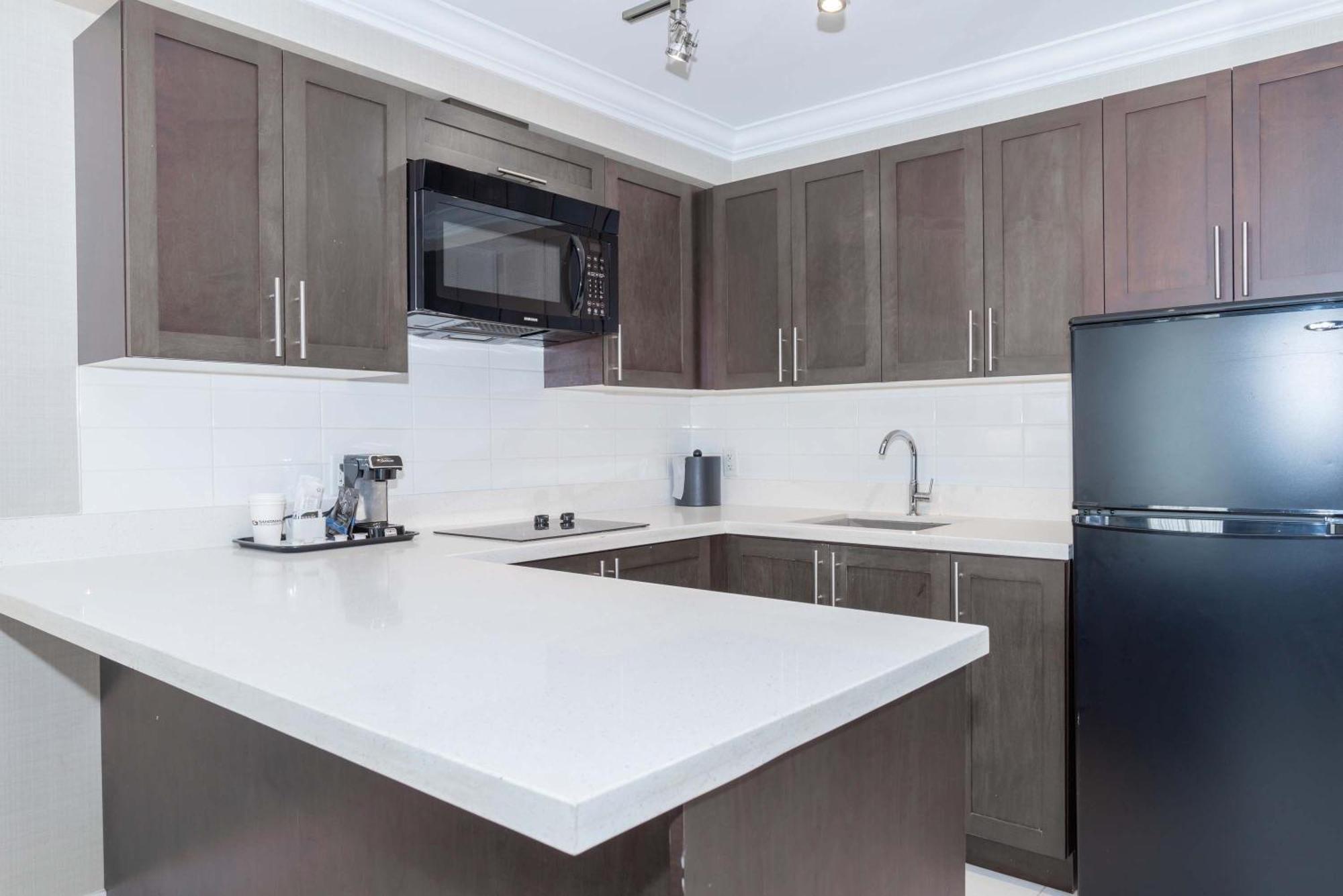 Standard Suite, 1 King Bed, Sofa Bed, Kitchen