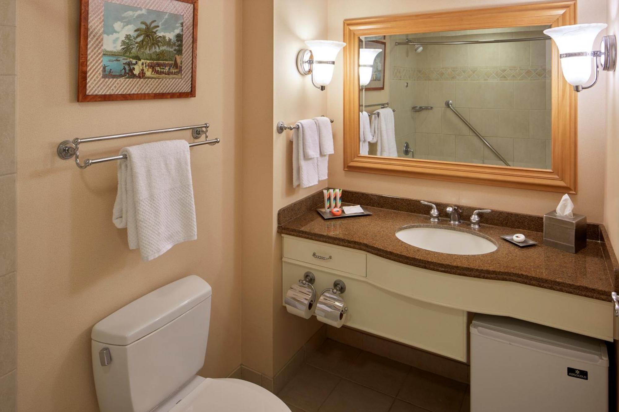 Chambres King avec Vue sur le Complexe