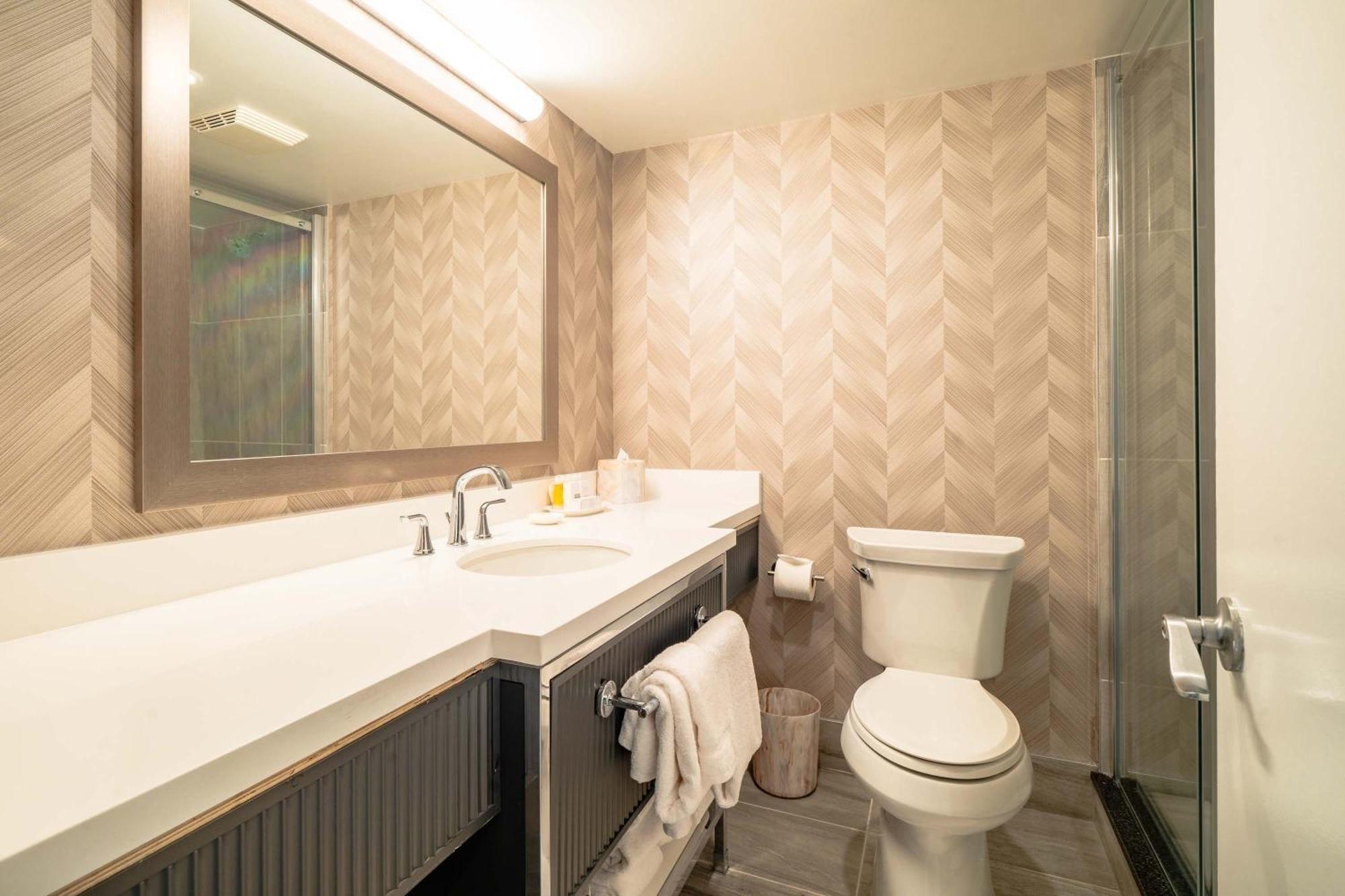 One Bedroom Premium Suite, 1 King Bed, Sofa Bed