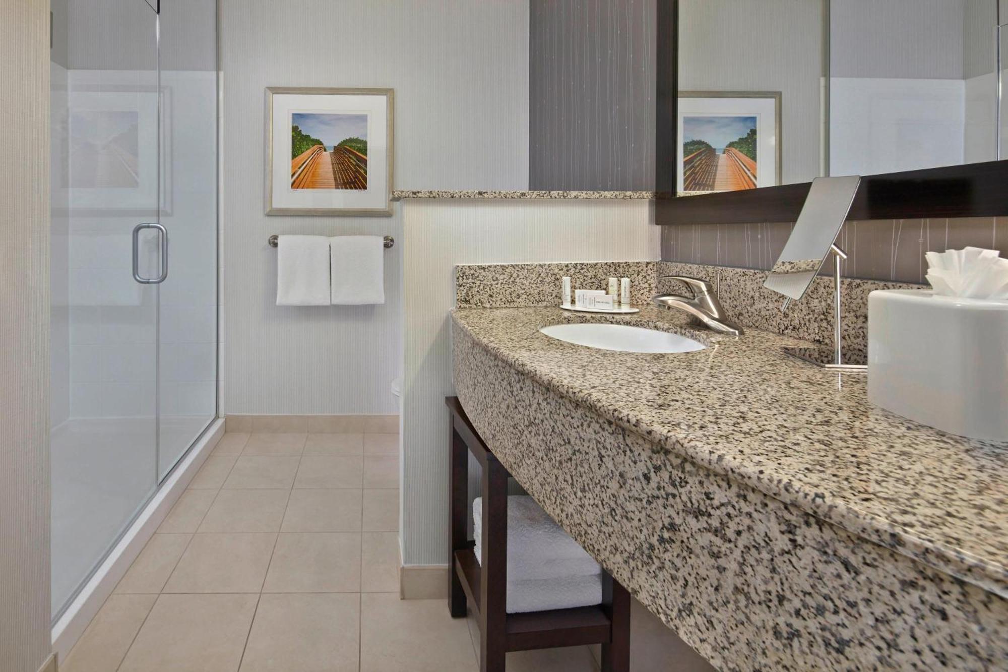 King Room with Roll-In Shower - Mobility Access/Hearing Accessible