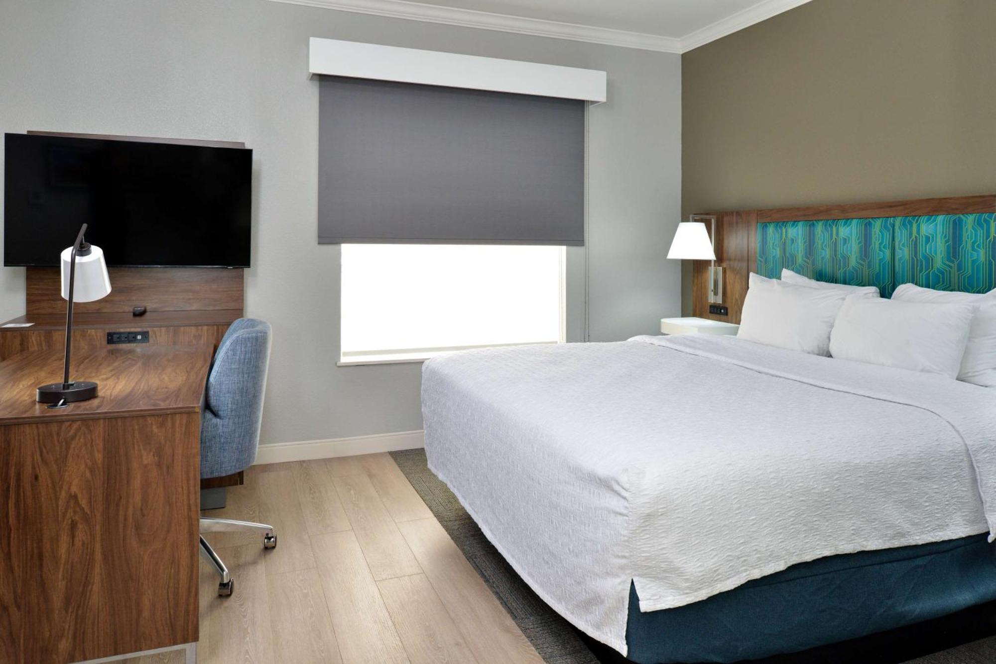 King Studio Suite with Sofa Bed - Non-Smoking