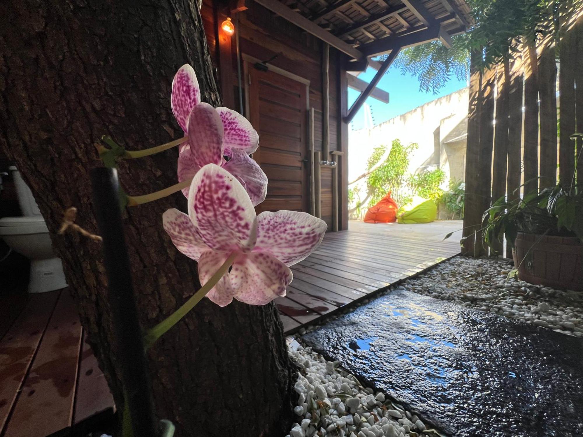 Suite Hot Tub