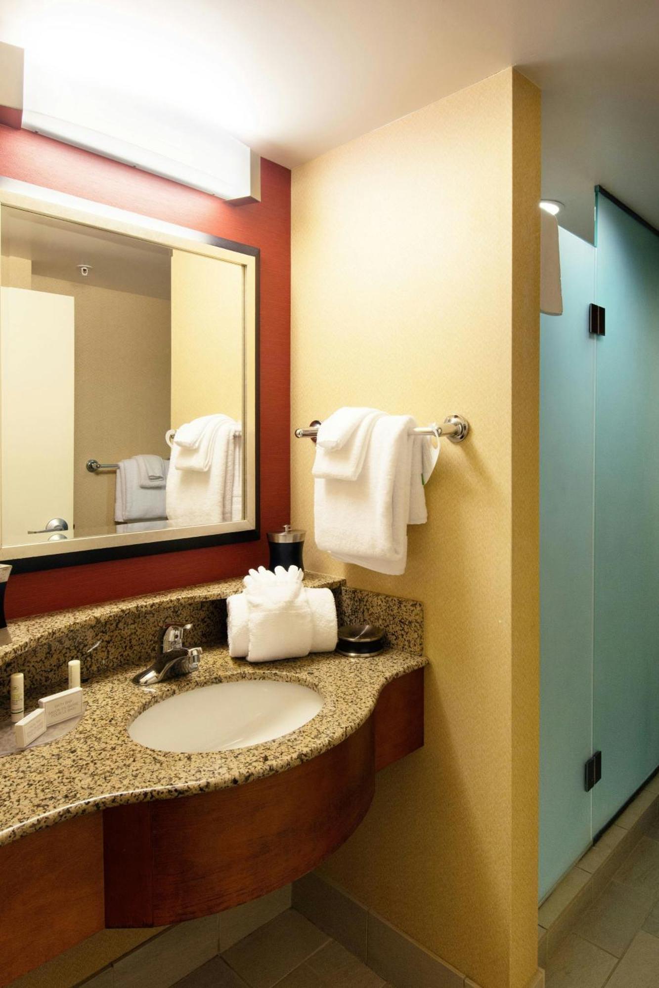 Studio with King Bed, Roll-In Shower and Sofa Bed - Mobility Access/Hearing Accessible