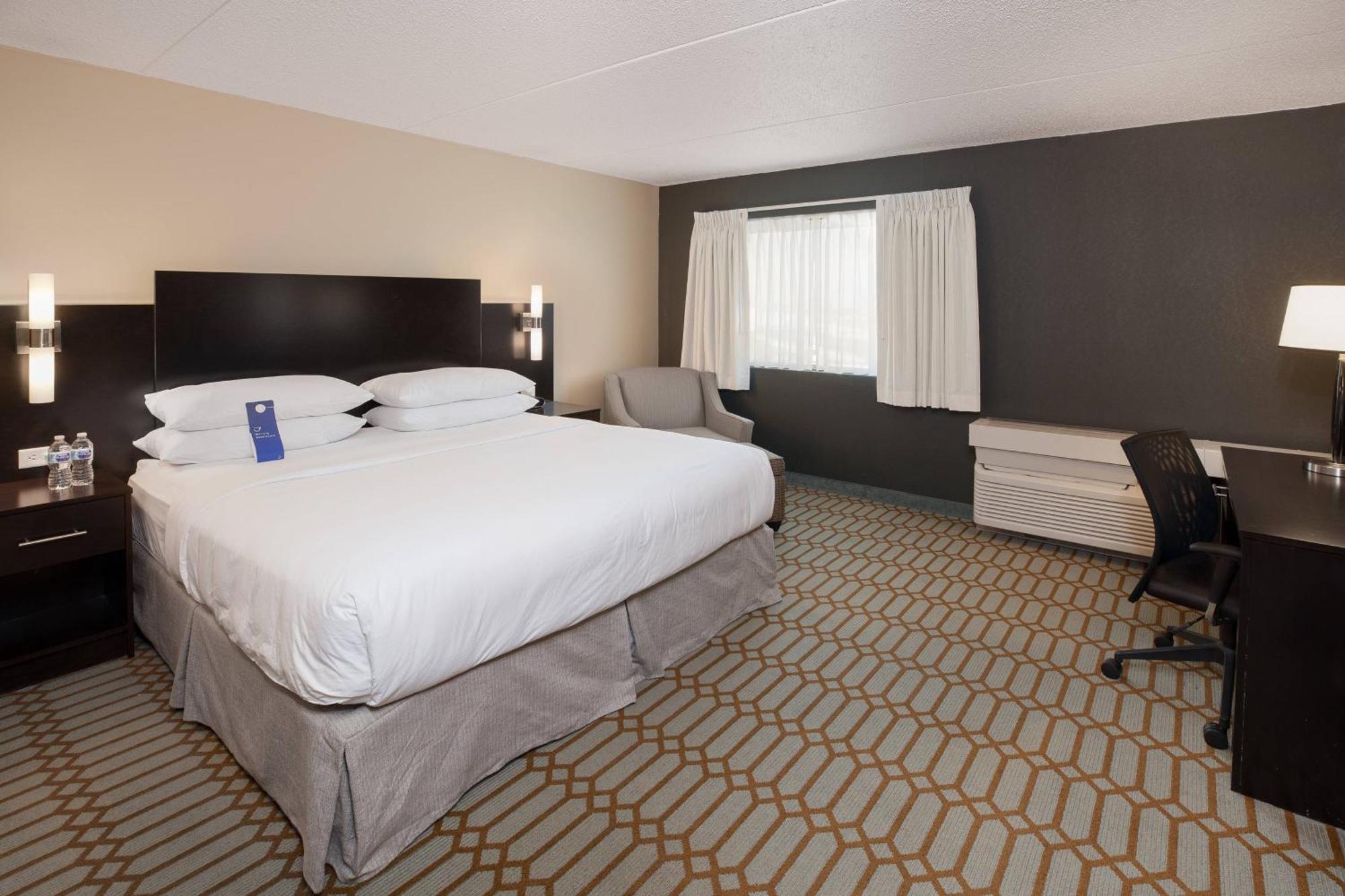 King Suite with Sofa Bed