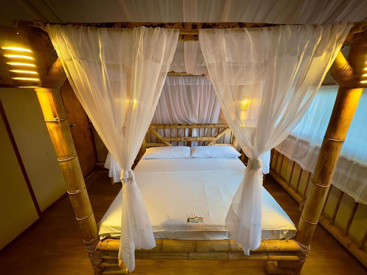 Habitación Deluxe con cama extragrande