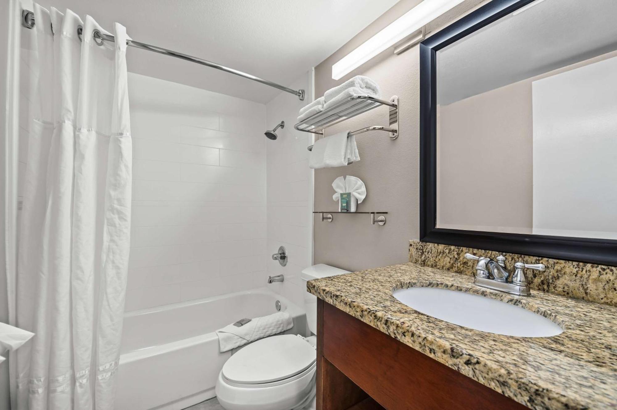 One-Bedroom King Suite - Non-Smoking
