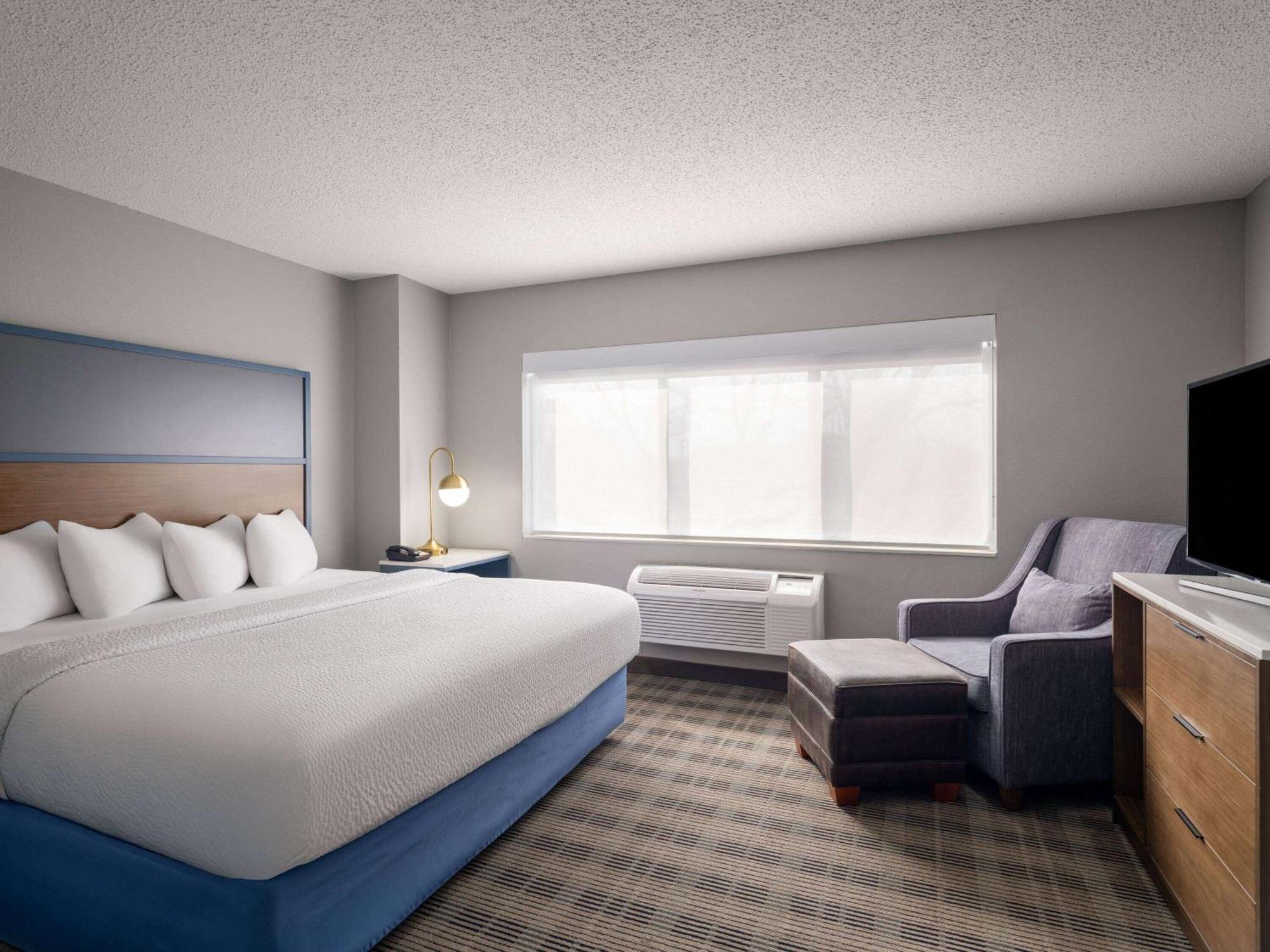 Luxury One Bedroom King Suite Non Smoking
