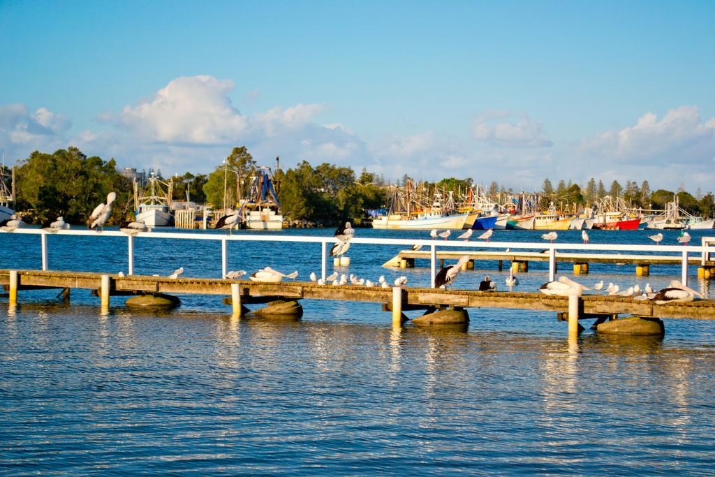 Premium Queen Waterfront Motel Room