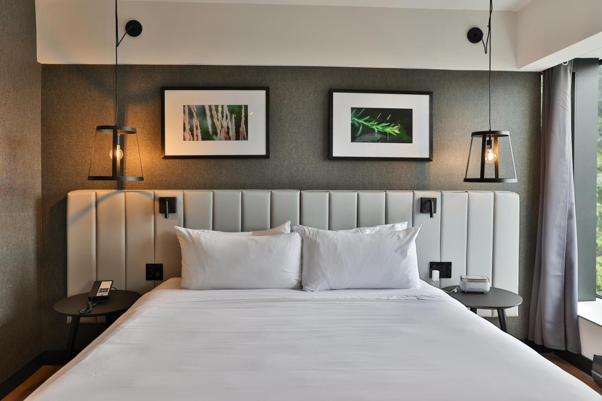 Suite Junior, 1 Lit King Size et 1 Canapé-Lit