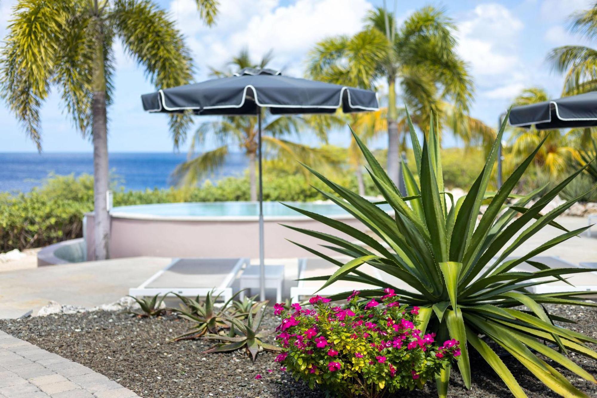 Ocean View Superior Suite VIP