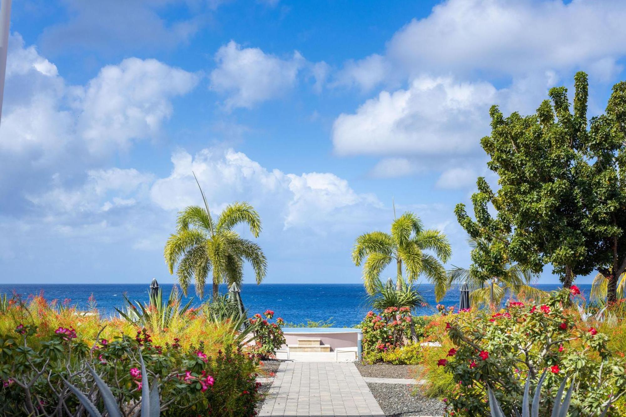 Ocean View Superior Suite VIP