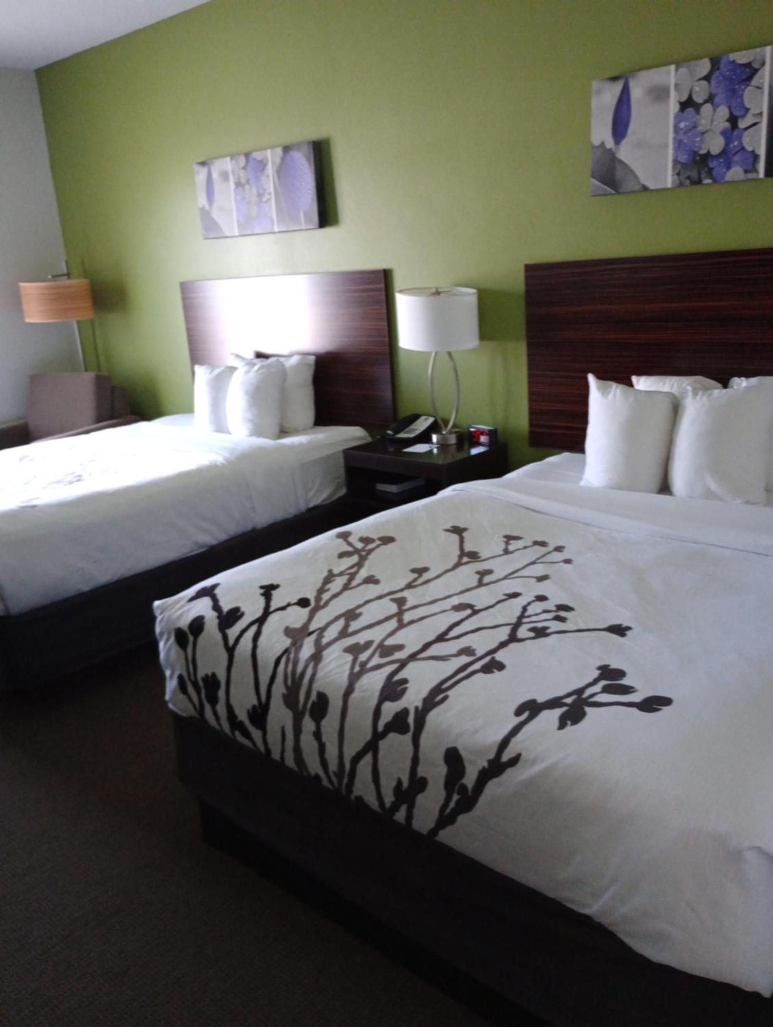 Queen Room with Two Queen Beds - Non Smoking/Pet Friendly