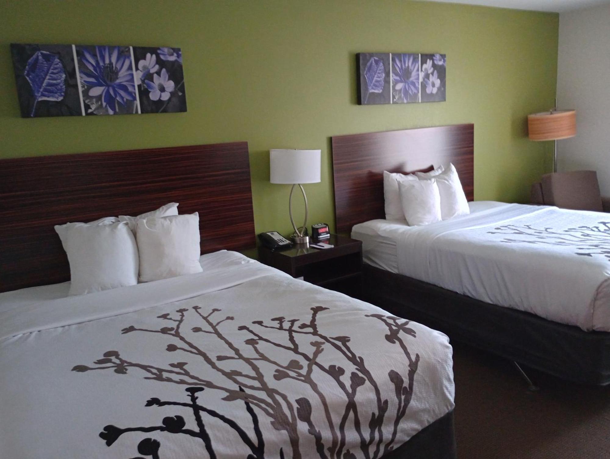Queen Room with Two Queen Beds - Accessible/Non-Smoking