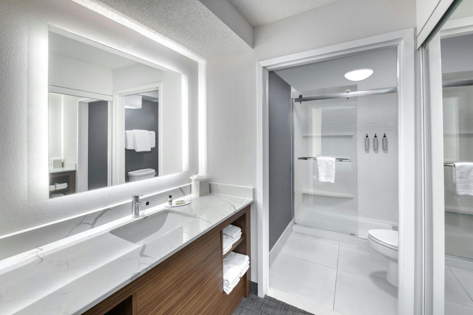 One-Bedroom Queen Suite with Sofa Bed