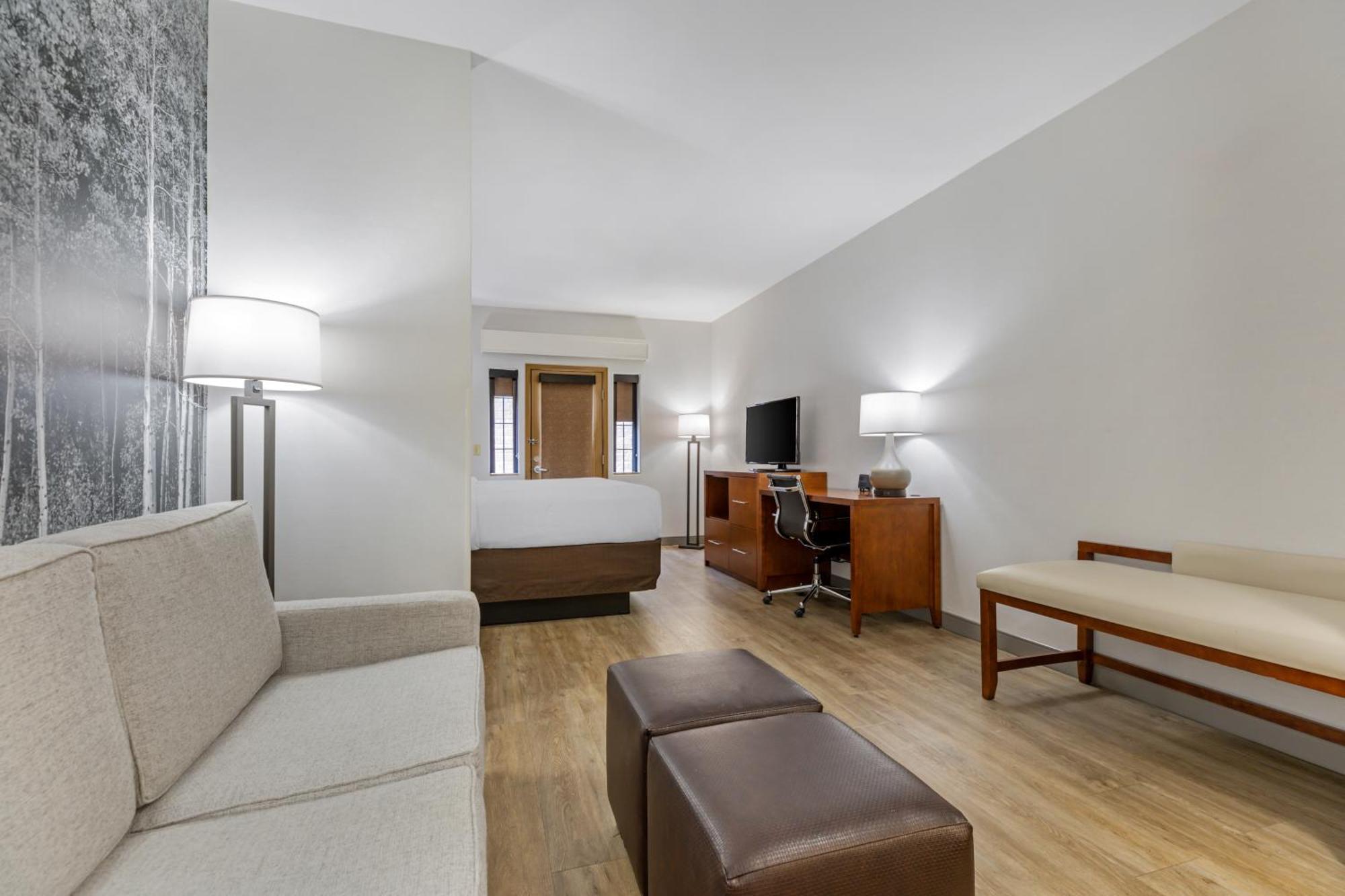 King Suite with Sofa Bed - Non-Smoking/Pet Friendly