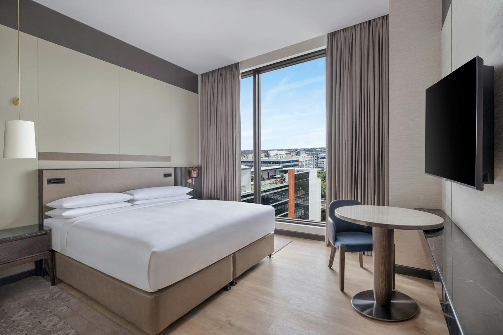 Junior King Suite with Executive Lounge Access