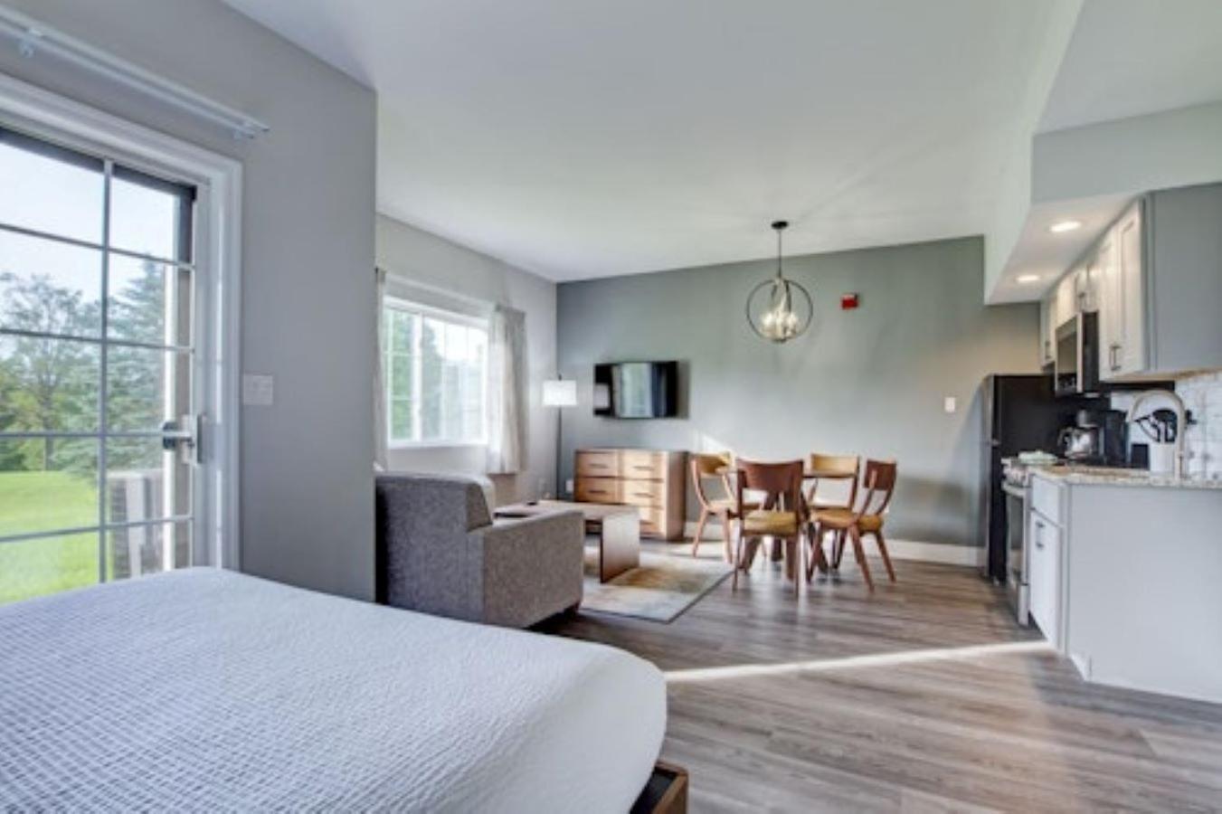 Premium Studio Treetops