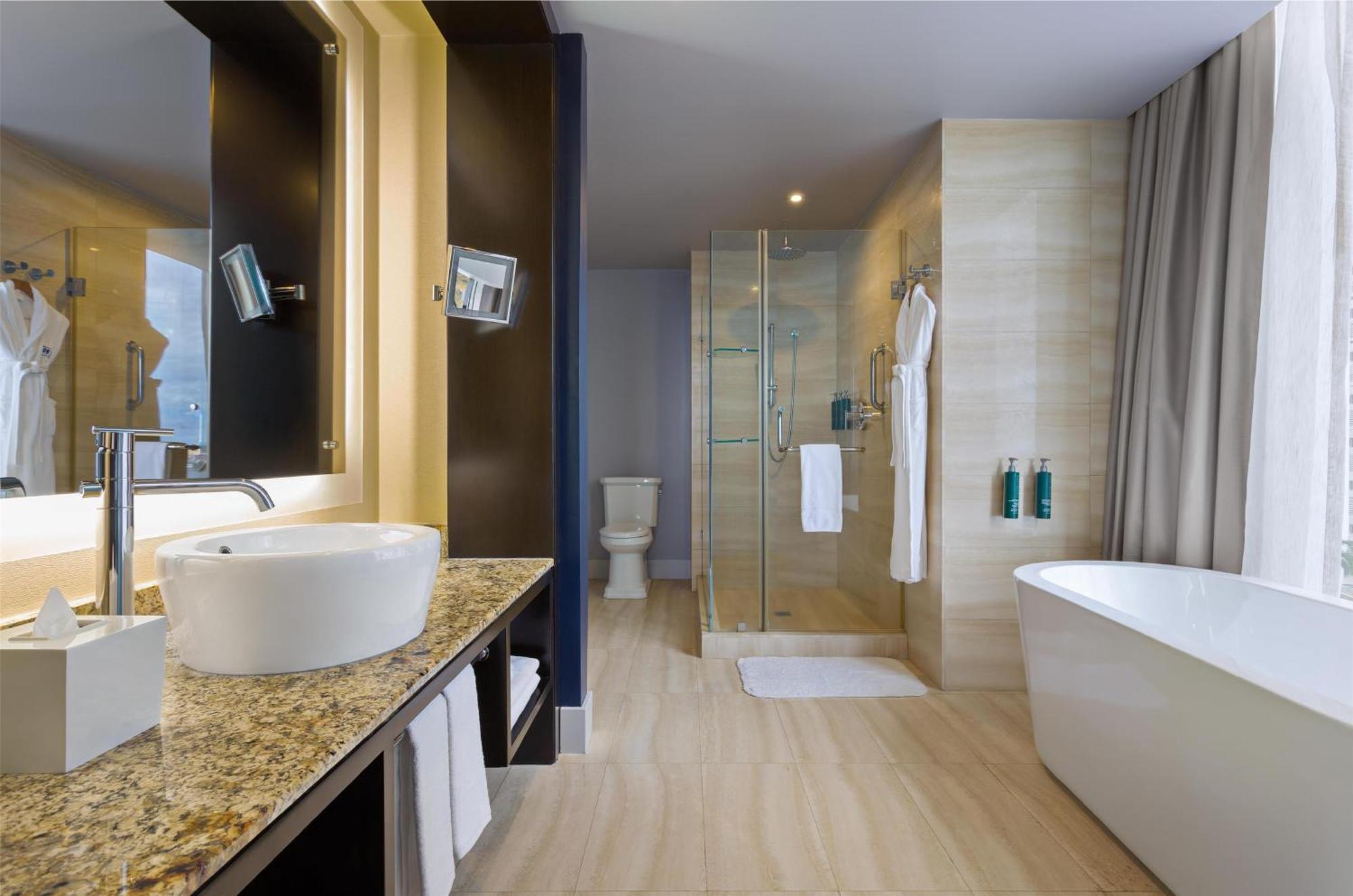 Junior King Suite with City View