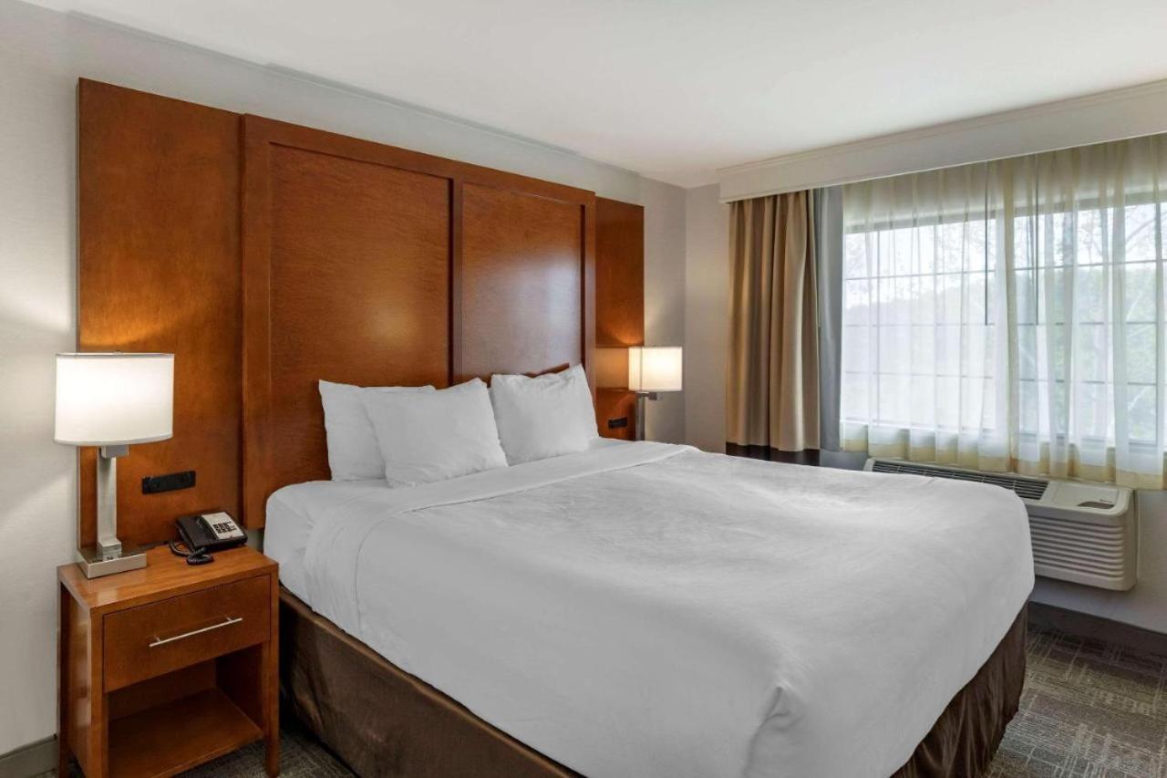 King Suite with Sofa Bed - Non-Smoking  (No Pets Allowed)