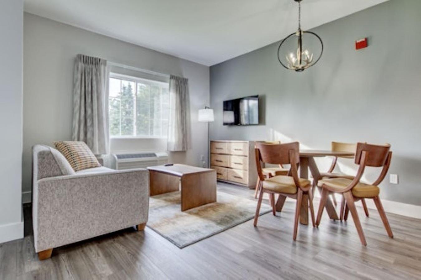 Premium Studio Treetops