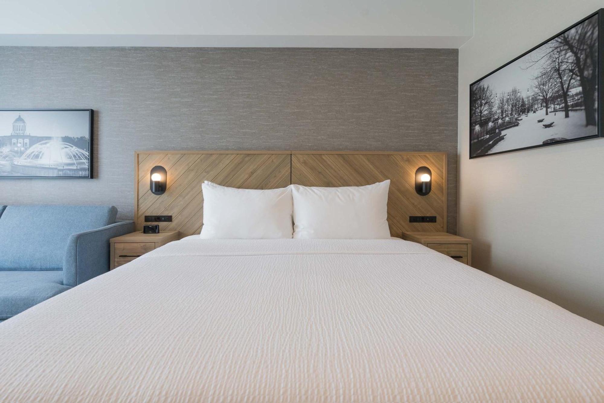 Standard Room, 1 King Bed, Sofa Bed