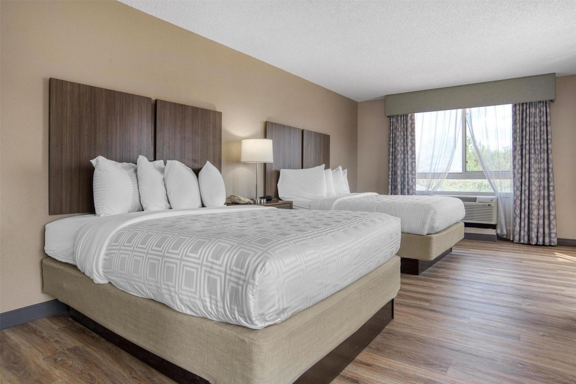 Queen Suite with Two Queen Beds