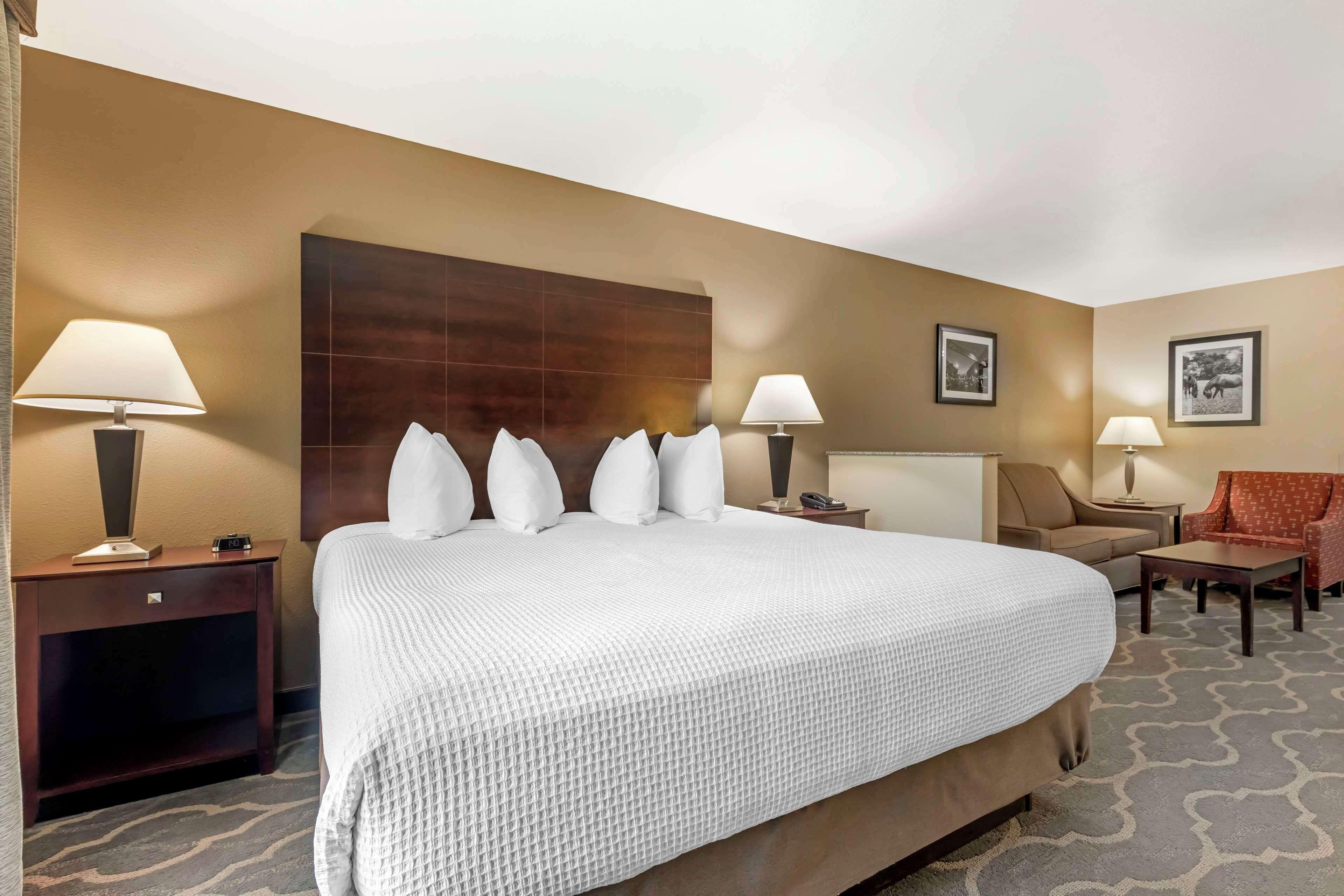King Suite with Sofa Bed - Non-Smoking