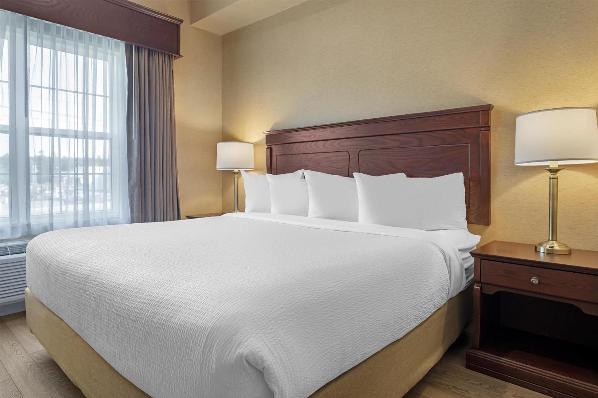 One-Bedroom King Suite with Sofa Bed and Rain Shower - Non-Smoking