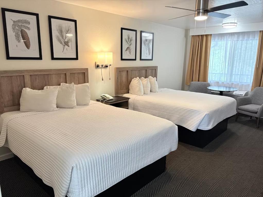 Quadruple Room Balcony