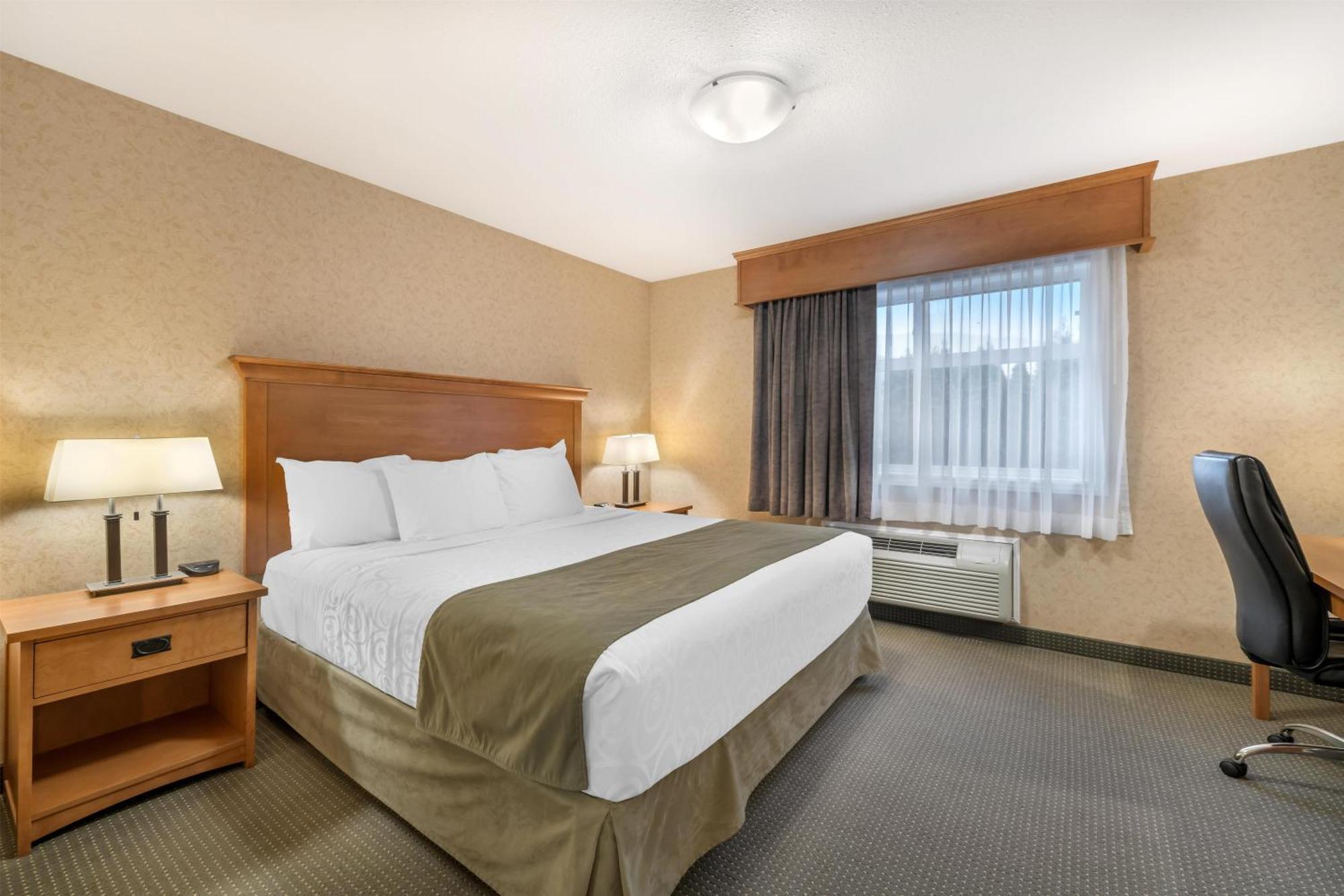 King Suite with Sofa Bed - Non-Smoking