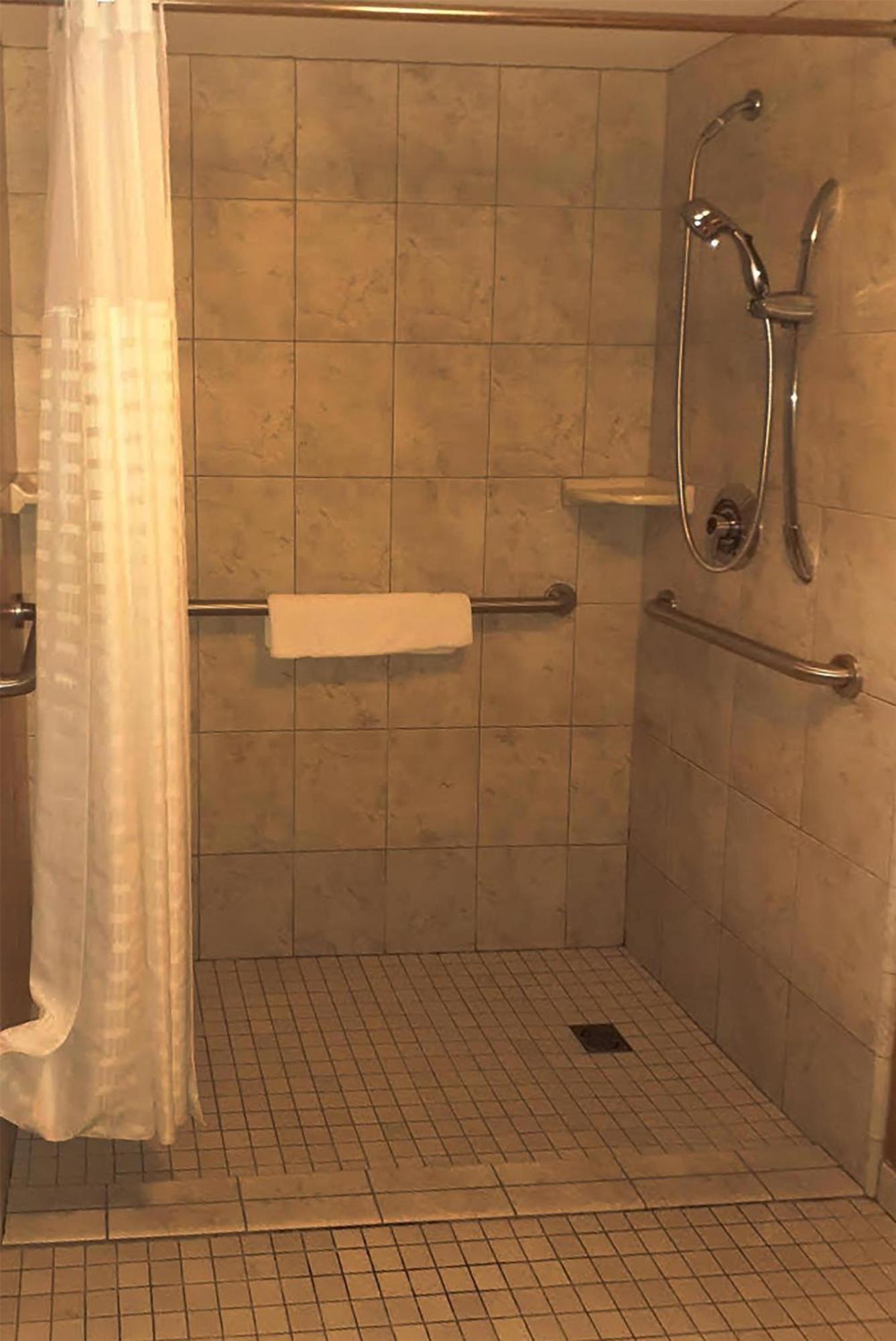 Standard King Room with Roll-in Shower - Accessible/Non-Smoking