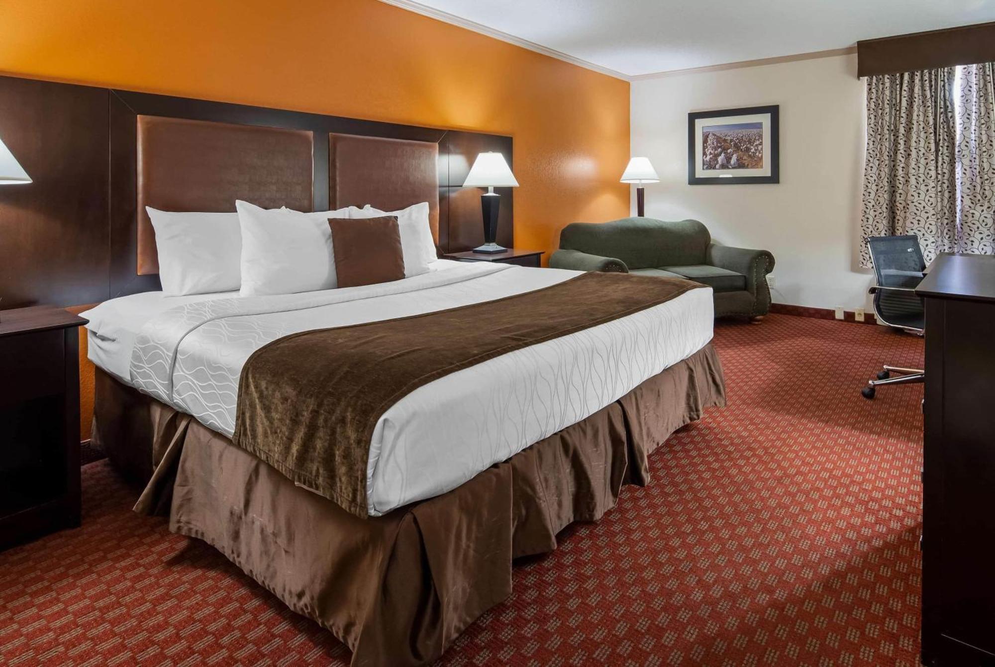King Room Mobility or Hearing Access Roll Shower Non-Smoking,1743067690:JPEG