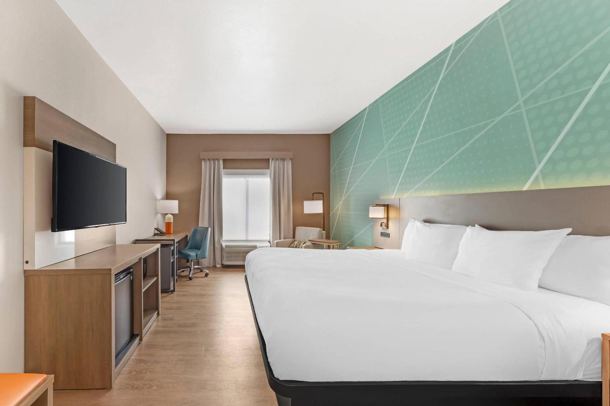 King Room - Non-Smoking/Pet Friendly