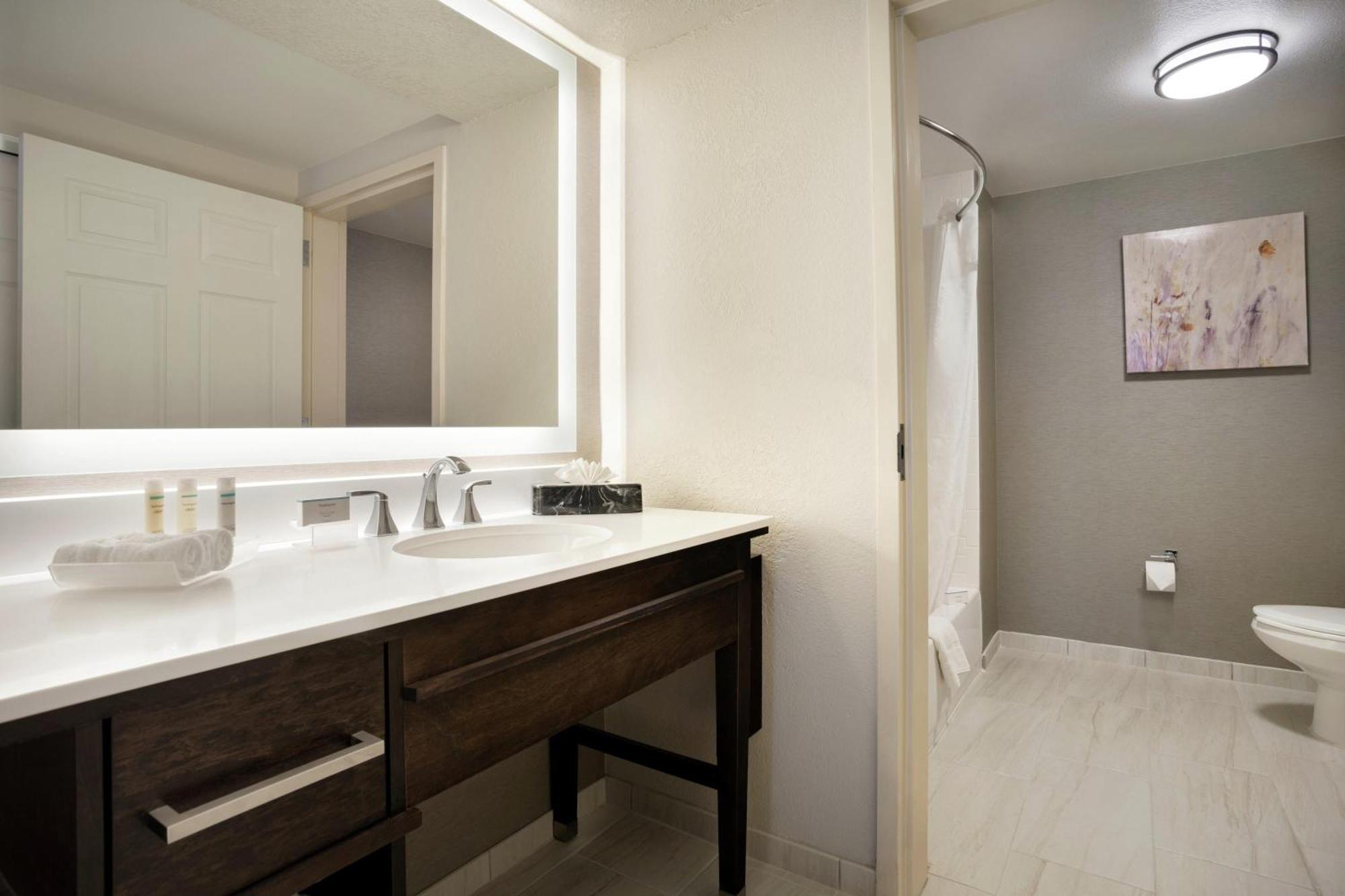 One-Bedroom King Suite with Fireplace - Non-Smoking