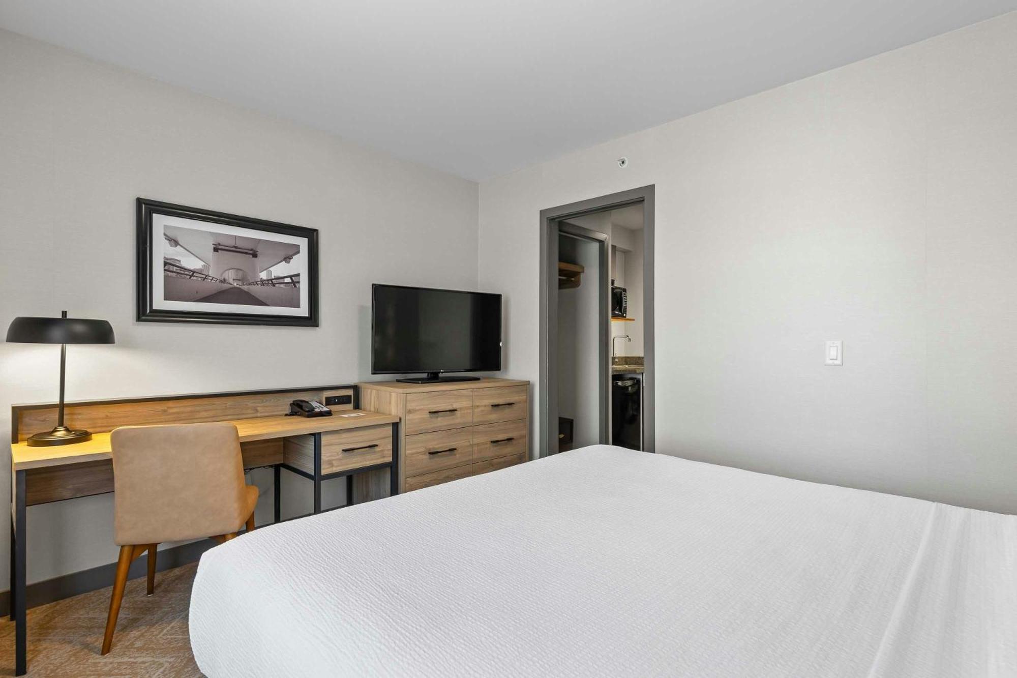 Standard Suite, 1 King Bed, Sofa Bed, Kitchenette