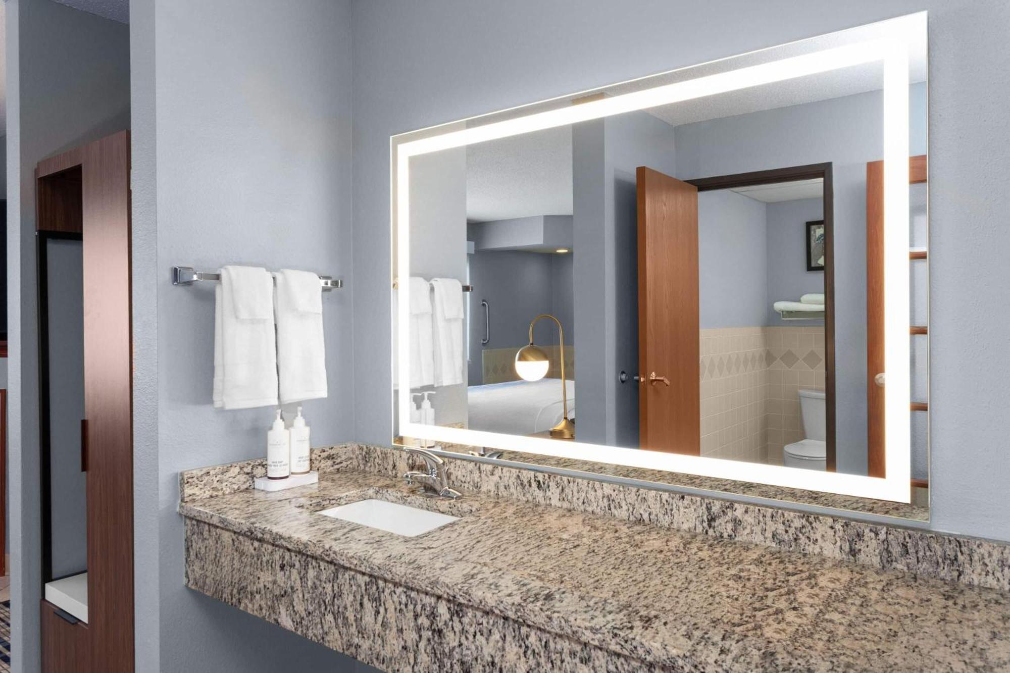 Premier One Bedroom King Suite - Non-Smoking