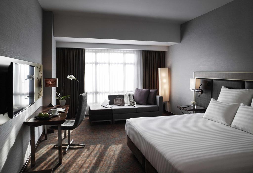 Deluxe Executive King Room with City View