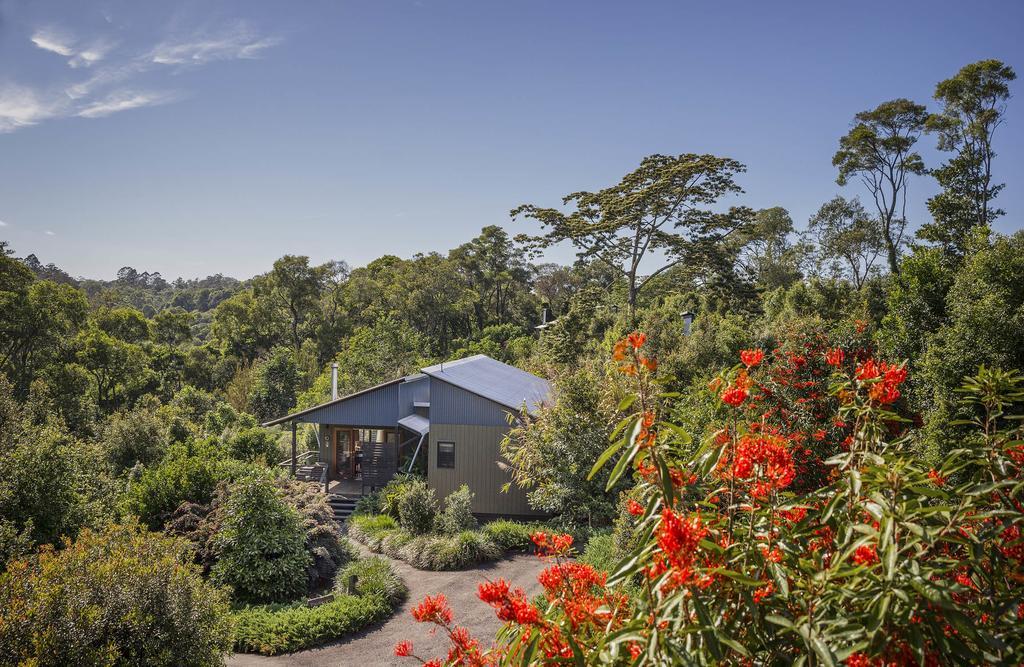Two-Bedroom Luxury Forest Villa