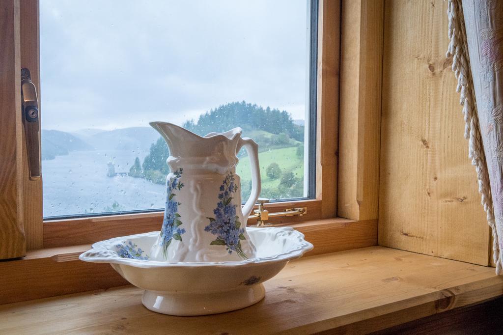 Standard Lake View