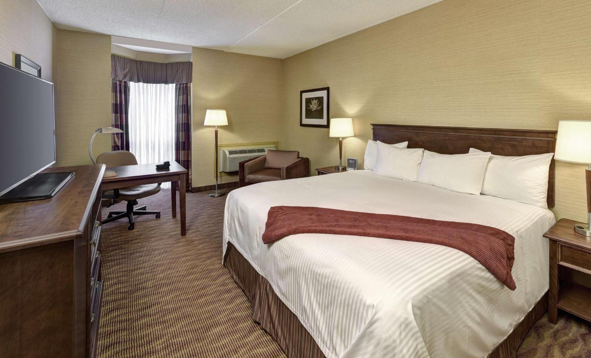 Executive King Room - Non-Smoking