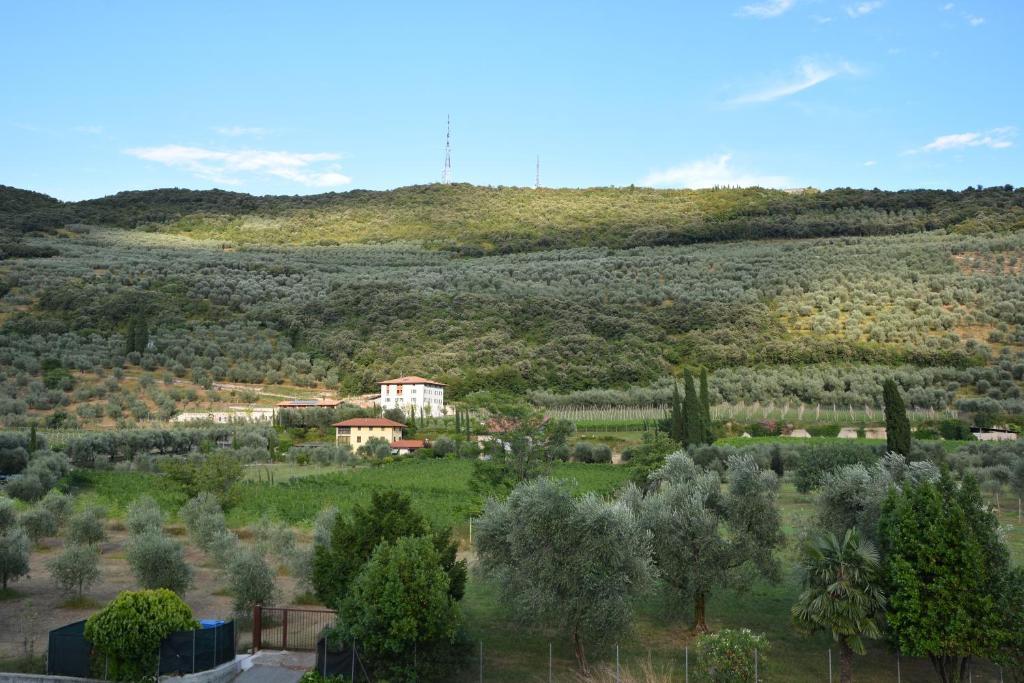 Suite Superior con Terrazza