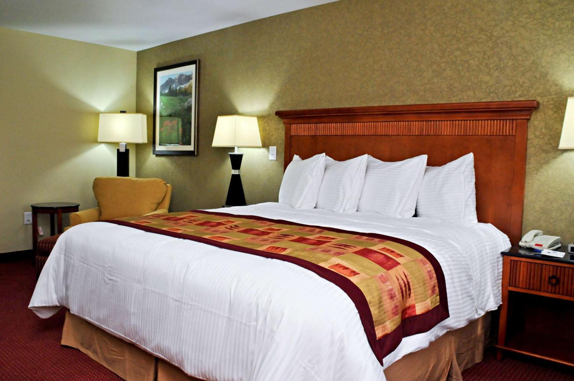 King Room with Kitchenette - Non-Smoking