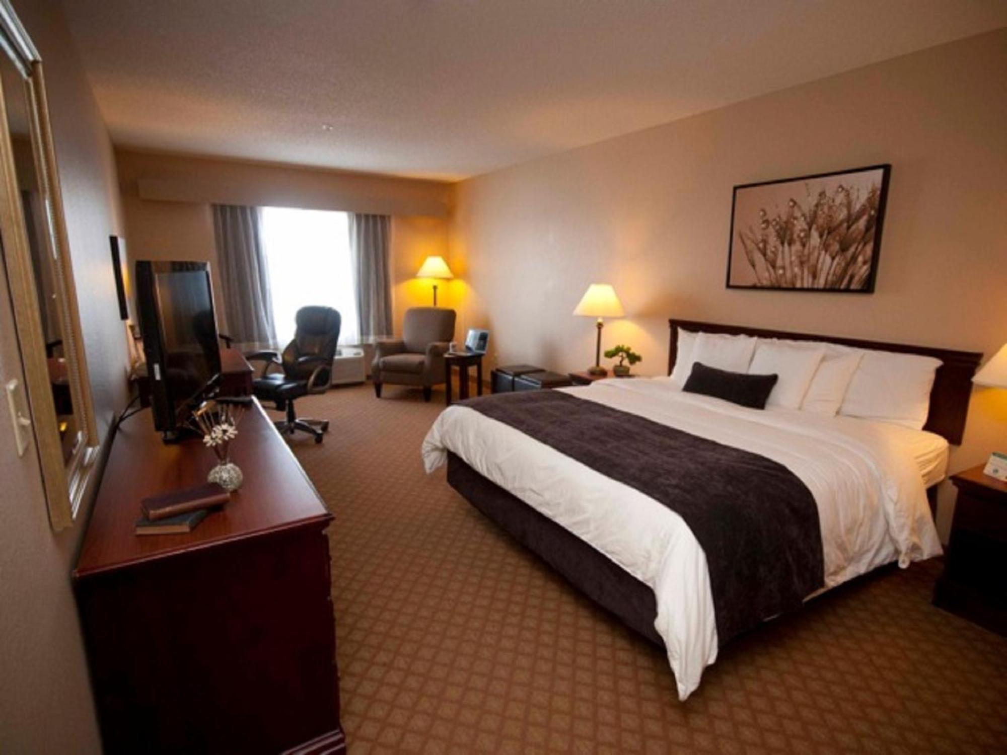 King Room