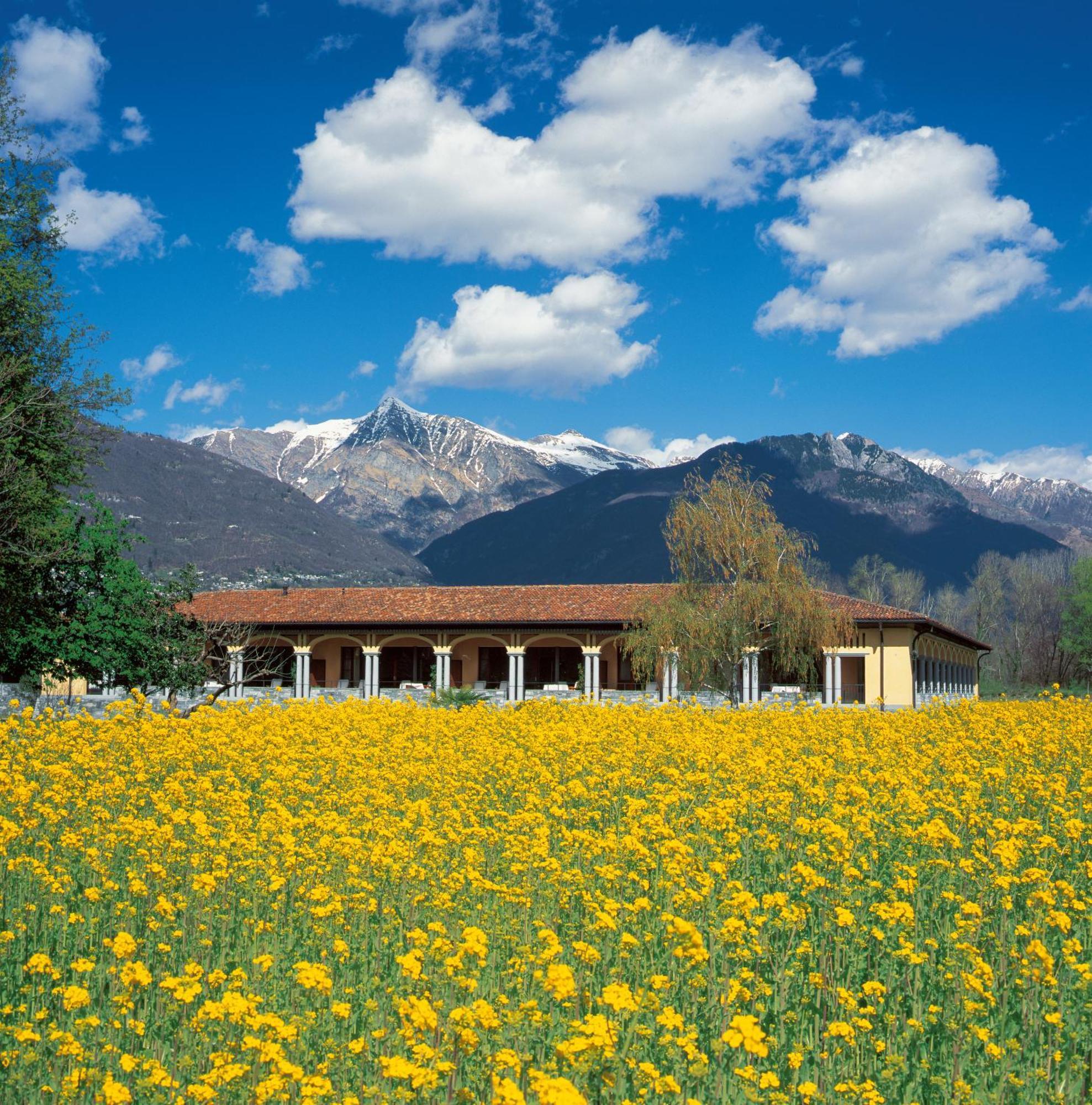 Retreat Loggia Suite