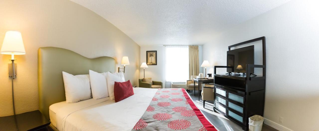 Comfort King Room
