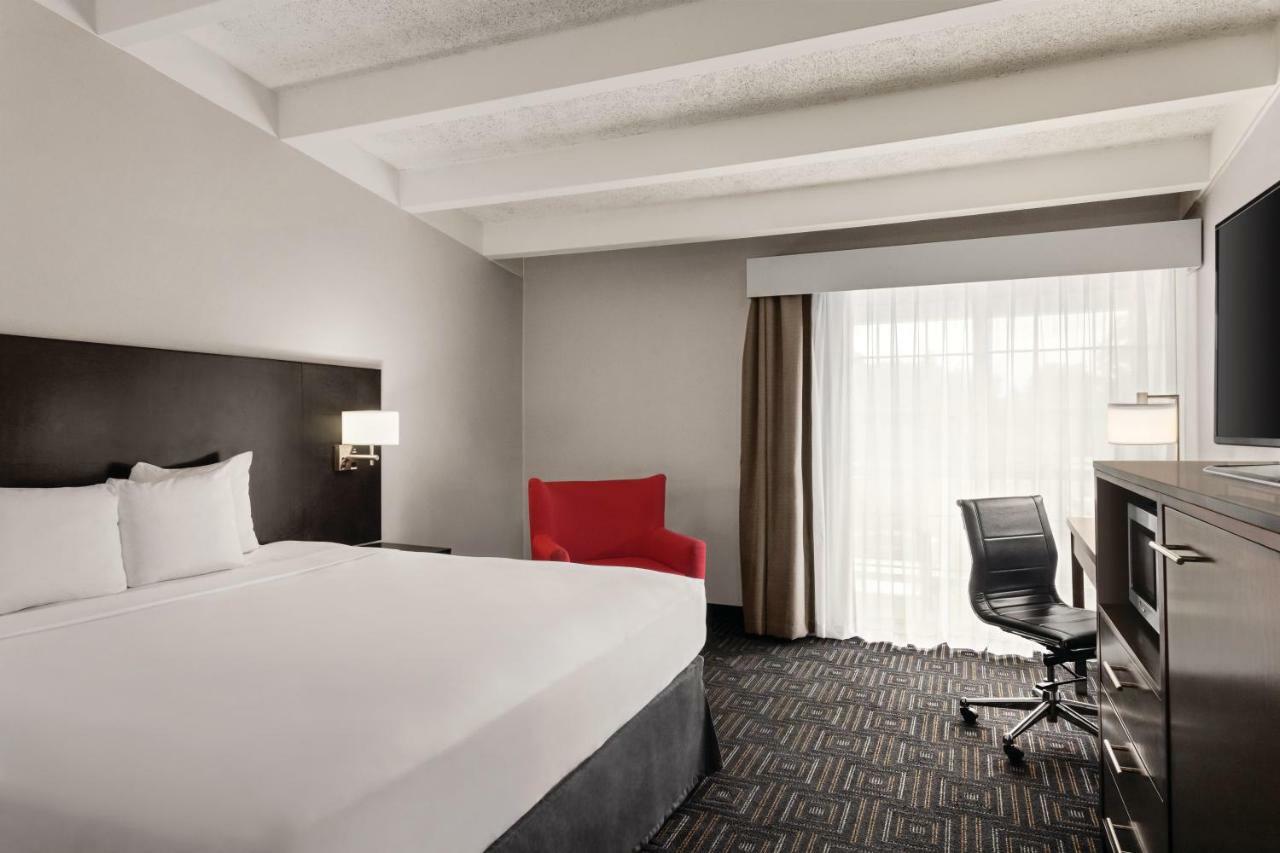 Premium King Room - Non-Smoking