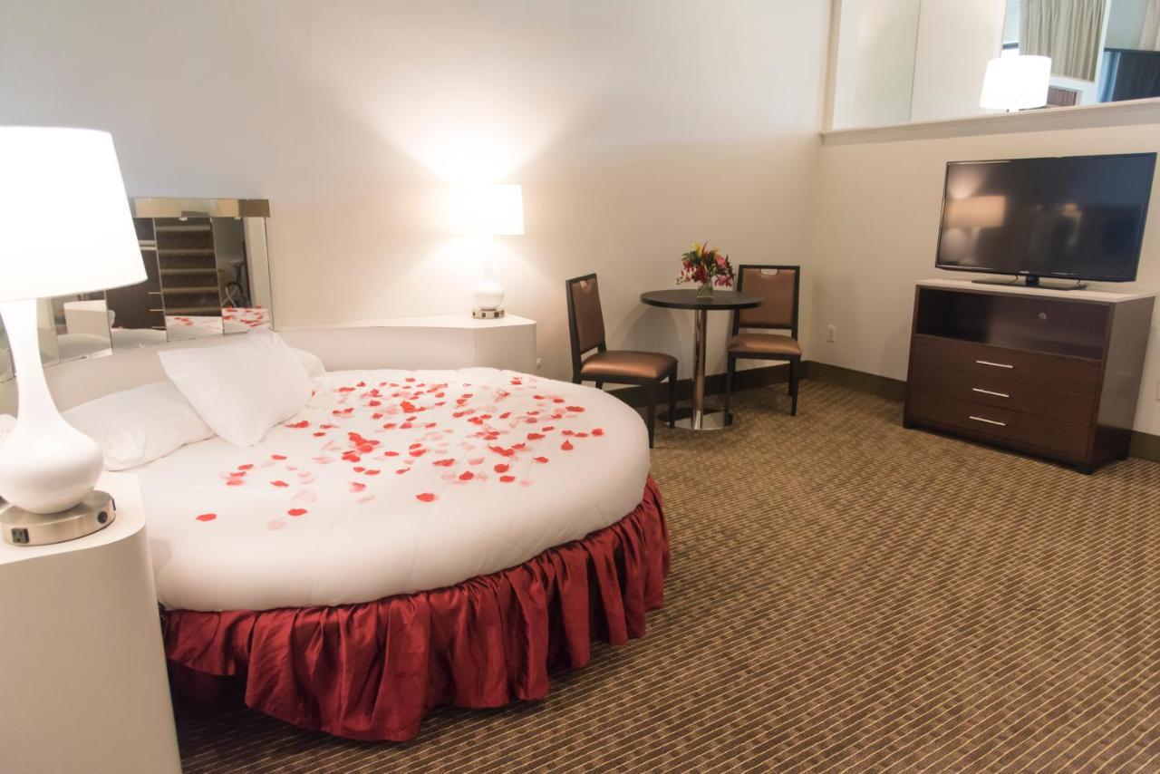 Cove Harbour Suite