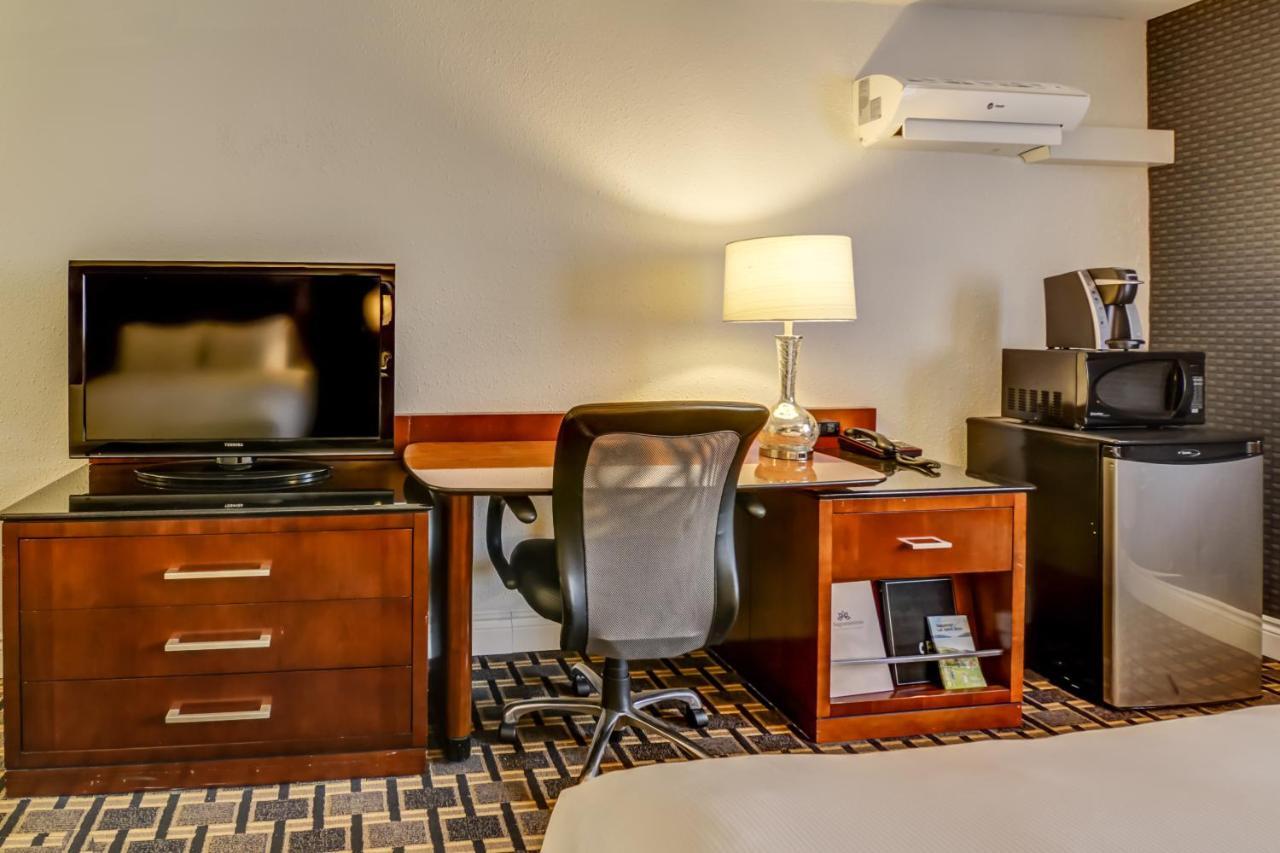 Standard Double Room with Two Double Beds