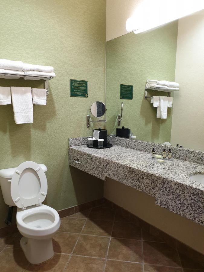King Suite with Mobility Accessible Roll-In Shower - Non-Smoking