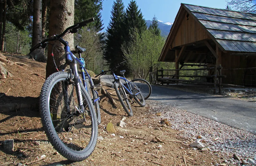 Bohinj Eco Hotel-1